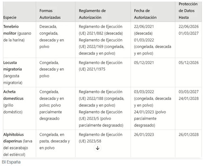 Insectos para alimentación humana