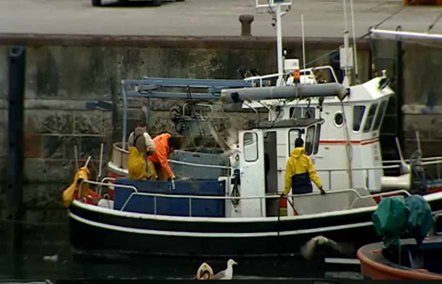 Pescadores en el puerto de Bermeo