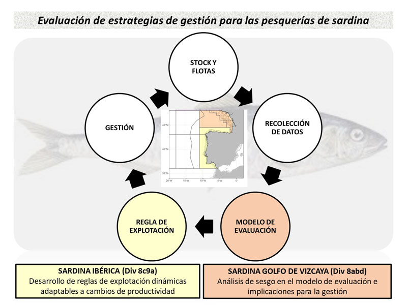 diagrama_sardina_nextgen_AU